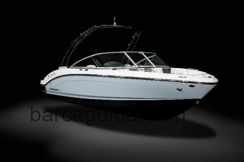 Chaparral 21 Surf scheda tecnica e recensioni